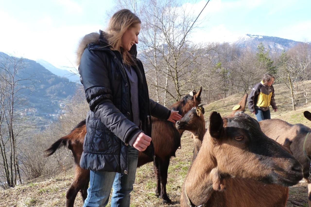 Agriturismo La Meta Pieve di Bono Exteriér fotografie